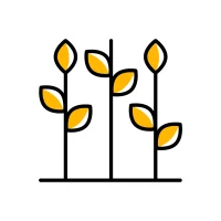 ¿QUIÉNES SOMOS – ACERCA DE AGROSS GROUP ¿QUIÉNES SOMOS - ACERCA DE AGROSS GROUP